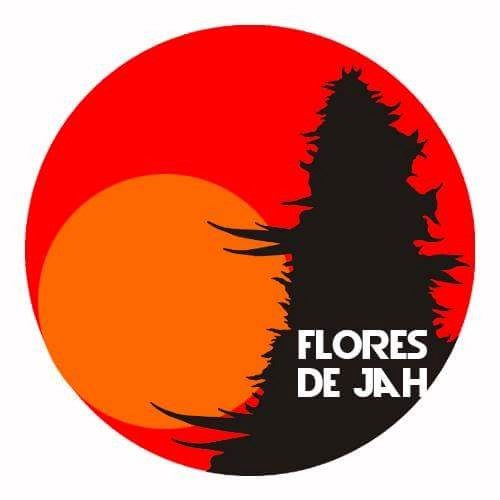 Buscamos cantante femenina