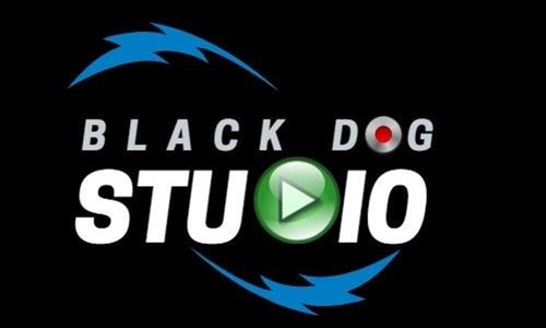 Black Dog Studio