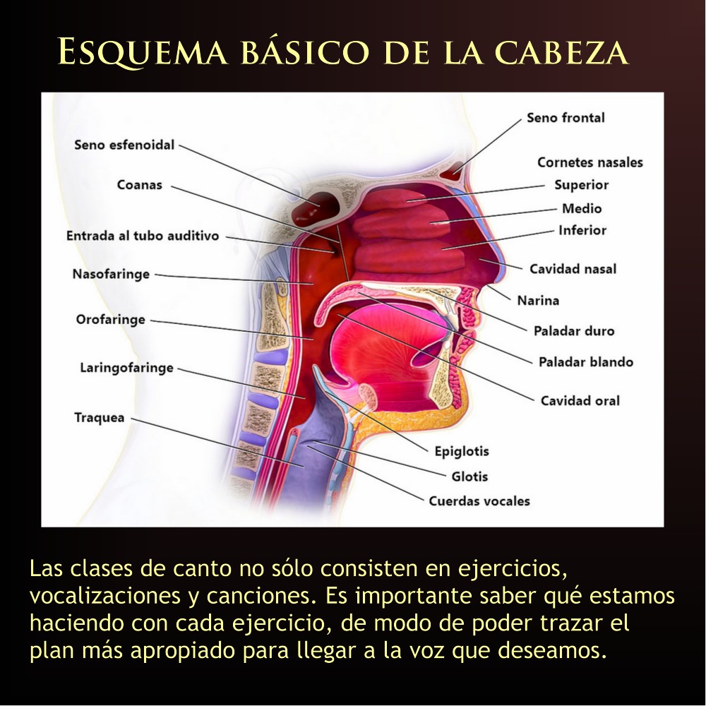 Clases de Canto en San Miguel