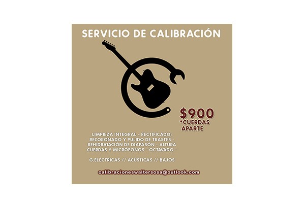 CALIBRACION DE INSTRUMENTOS WS